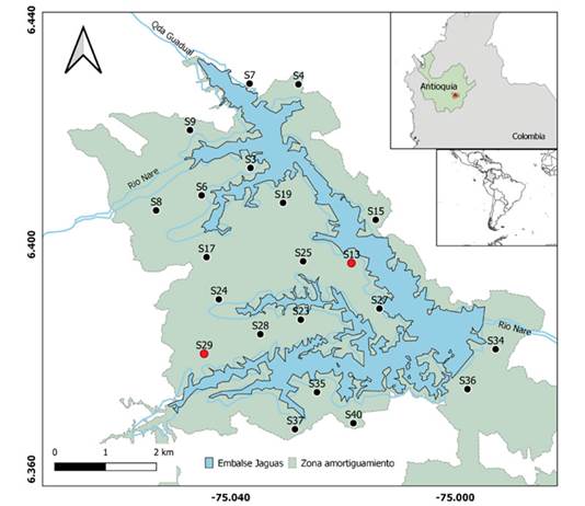 Disposici&oacute;n de las 21 grabadoras usadas para identificar las vocalizaciones de Megascops centralis alrededor del embalse Jaguas, Andes de Antioquia, Colombia. En rojo, las grabadoras seleccionadas para la evaluaci&oacute;n de la funci&oacute;n autodetec.