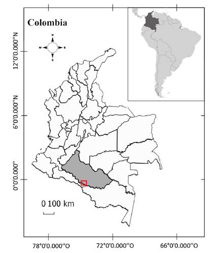 Ubicaci&oacute;n de la vereda Peregrinos, municipio de Solano, Caquet&aacute;, Colombia.