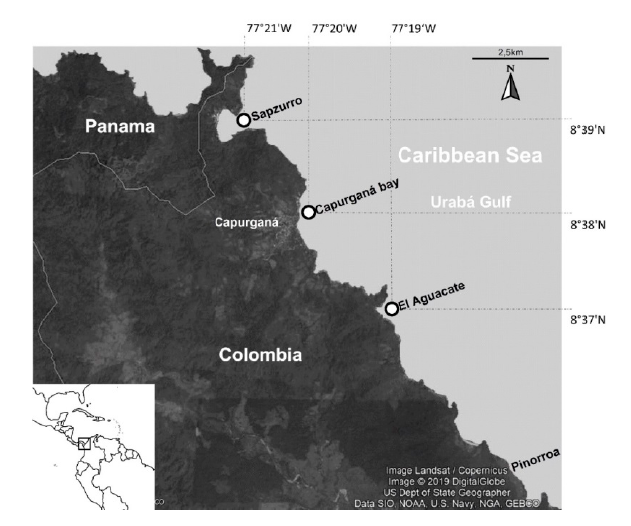 Western Caribbean coast of Colombia where the samplings of reef fish were carried out.