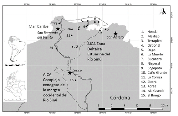 Ubicación geográfica de las 15 estaciones para muestreo de aves acuáticas en la cuenca baja del río Sinú, Caribe Colombiano.