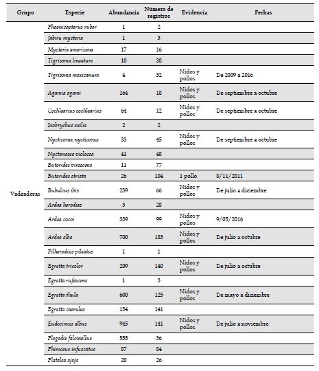 Abundancia, registros y evidencia reproductiva de las especies pertenecientes a los grupos funcionales.
