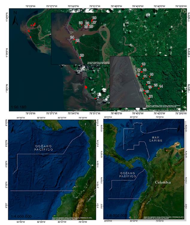 Localizaci&oacute;n del Distrito de Manejo Integrado Cabo Manglares Bajo Mira-Frontera, Pac&iacute;fico colombiano. Los puntos rojos y los n&uacute;meros muestran los sitios donde se realizaron los muestreos. Imagen: Paola Echeverry Hern&aacute;ndez
