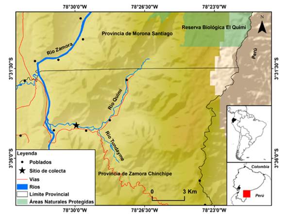 Sitio de recolección de Telotha henselii en la cuenca alta del Río Santiago, Amazonía ecuatoriana.