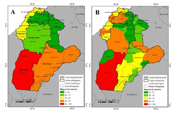 Riqueza de especies de mamíferos del departamento de Córdoba, Colombia. A, por subregiones; B, por municipios.