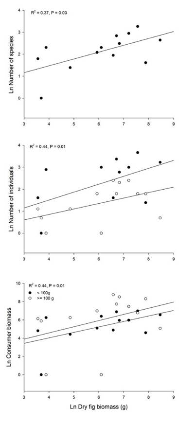 Total bird visitation (feeding bouts) of Ficus andicola subsp. andicola, in the Otún-Quimbaya Flora and Fauna Sanctuary, Risaralda, Colombia, as a function of crop size, expressed as dry fruit biomass (g) per tree, accumulated across the observation sessions. Graphs show the number of species, number of individuals and bird biomass of fruit consumers for 13 crops. For number of individuals and biomass, separate curves are shown for the two size classes.