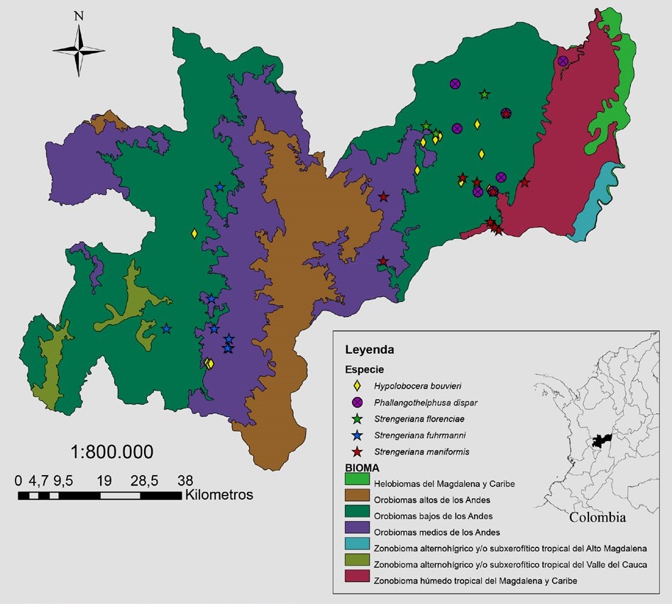 Map of the biomes of the department of Caldas Colombia with the distribution of the georecords of freshwater crabs Decapoda Pseudothelphusidae