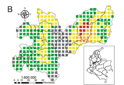 Mapa de vac�os de informaci�n para las especies de cangrejos de agua dulce en el departamento de Caldas, Colombia. Gris, ninguna especie; verde, una especie; amarillo, dos especies; naranja, tres especies; rojo, cuatro especies. A, Con base en los datos de distribuci�n obtenidos a partir de los registros; B, Con base en los datos de los modelos de distribuci�n potencial.