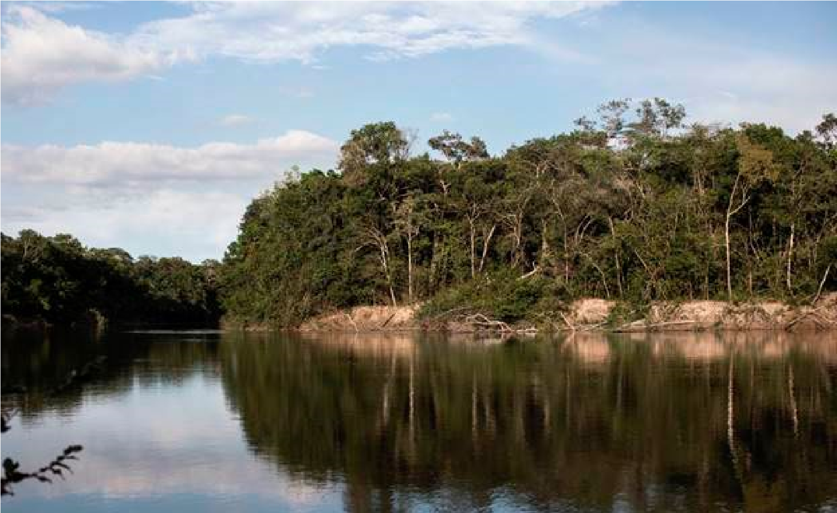 View of R�o Tomo and flooded forests (igap�) during the dry season. Tomogrande field station, Vichada, Colombia. Credit: Juanita Escobar.