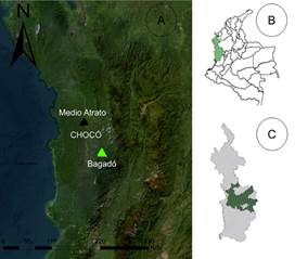 �rea de estudio en dos municipios de la selva pluvial central del departamento del Choc�