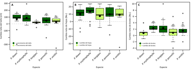 Crecimiento neto del tallo (A), cambio neto de hojas (B) y cambio neto de brotes (C) para cada especie de Passiflora evaluada