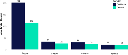 Abundancia y riqueza de familias, g�neros y especies de �rboles identificados en los dos corredores de bosque de galer�a.