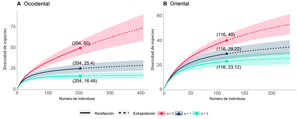 Curvas de rarefacci�n y extrapolaci�n de la diversidad de especies de �rboles por corredor