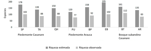 Comparaci�n de la riqueza estimada y la riqueza observada de �rboles con DAP &ge; 2.5 cm