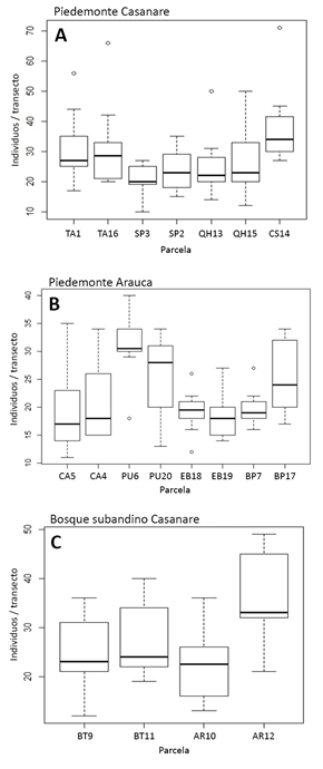 Densidad de �rboles con DAP &ge; 2.5 cm en los transectos estudiados (n�mero de �rboles/100 m2, n = 10)