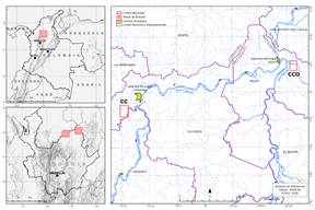 Localizaci�n de las �reas de estudio