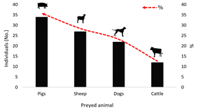 Loss of domestic animals from jaguar and puma attacks in and around Paramillo National Natural Park, Colombia, between 2007-2022.