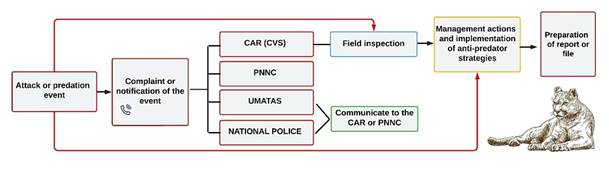 Proposal for a verification protocol to manage cases of human-big cat conflict in Paramillo National Natural Park, Colombia