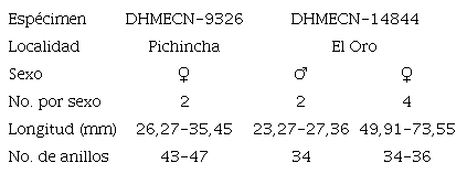 Sexo, medidas (min.-máx.) y número de anillos de las especies de Porocephalus encontradas en especímenes de Bothrops asper en Ecuador.