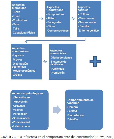 La influencia en el comportamiento del consumidor (Cueva, 2011)
