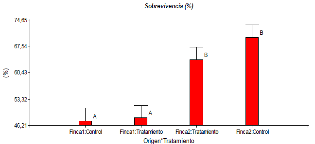 Sobrevivencia (%) de los camarones alimentados en las dos fincas con la dieta control y la dieta vegetal (p < 0,005).
