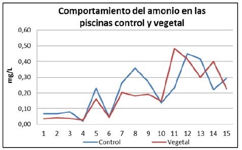 Comportamiento del amonio en las piscinas de la Finca 1.