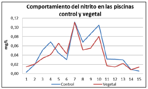 Comportamiento del nitrito en las piscinas de la Finca 1.