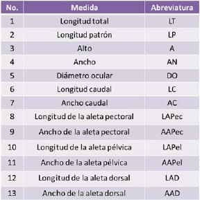 Medidas morfom&eacute;tricas tomadas.