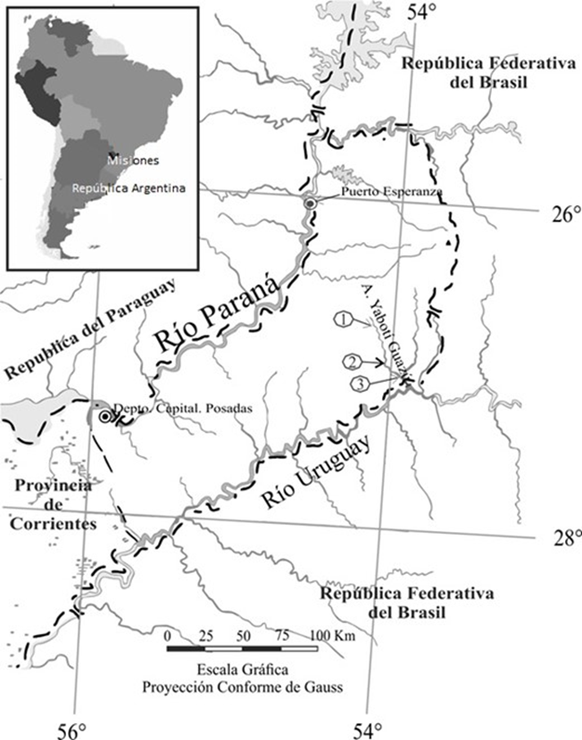 �rea de estudio Arroyo Yabot�, Reserva Biosfera Yabot�. Misiones Argentina. 1-Cuenca superior, 2-Cuenca media, 3-Cuenca inferior.