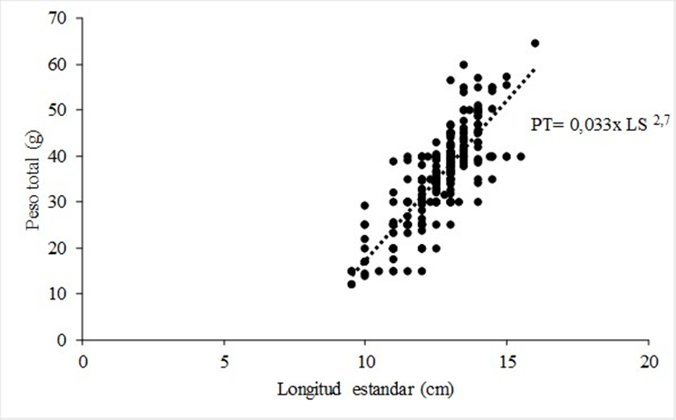 Relaci�n longitud&ndash;peso de L. striatus. Arroyo Yabot�.