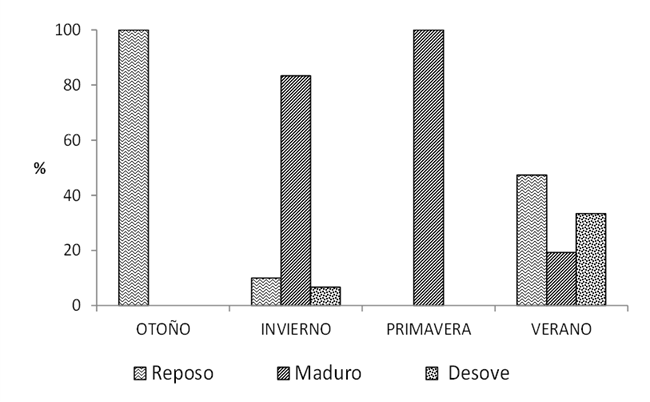 Distribuci�n estacional de estadios gonadales de L. striatus. Arroyo Yabot�.