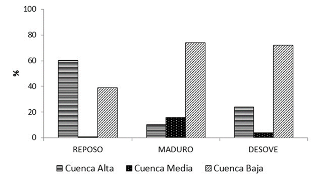 Distribuci�n espacial de los estadios gonadales de L. striatus. Arroyo Yabot�.