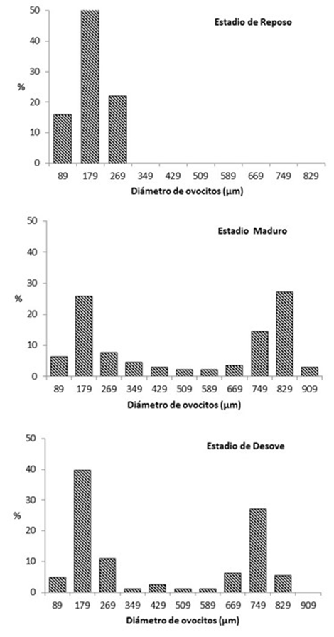 Distribuci�n de di�metros ovocitarios de L. striatus. Arroyo Yabot�.
