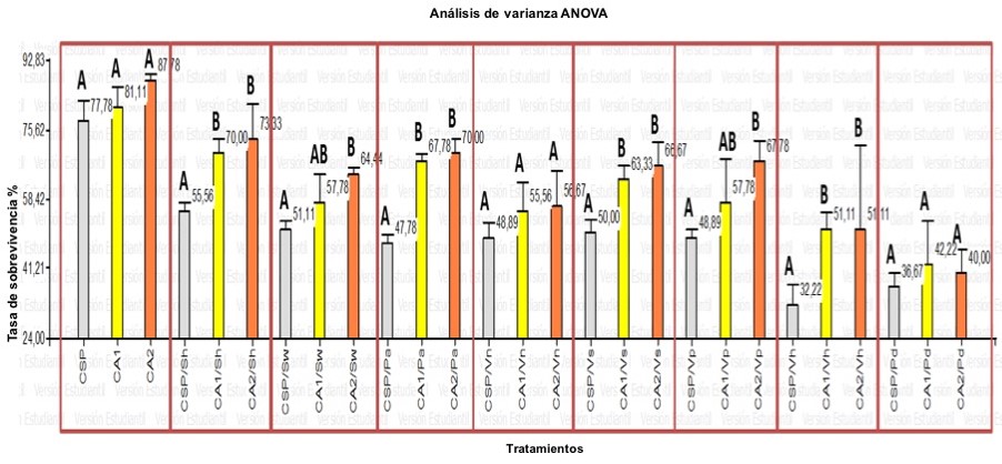 Figura
1. Porcentaje de supervivencia en la prueba experimental de camar&oacute;n Litopenaeus
vannamei.