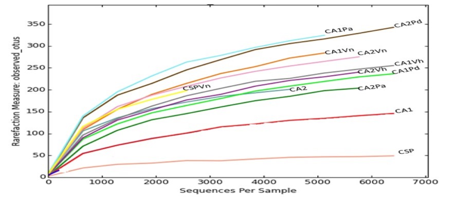 Figura 2. Curvas
de tiz&oacute;n del intestino del camar&oacute;n.
