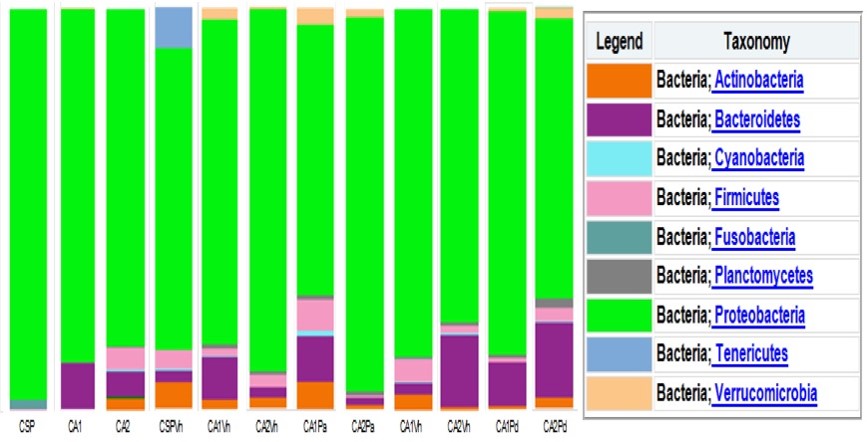 Figura
3. Composici&oacute;n de microbiotas a nivel de filo.
