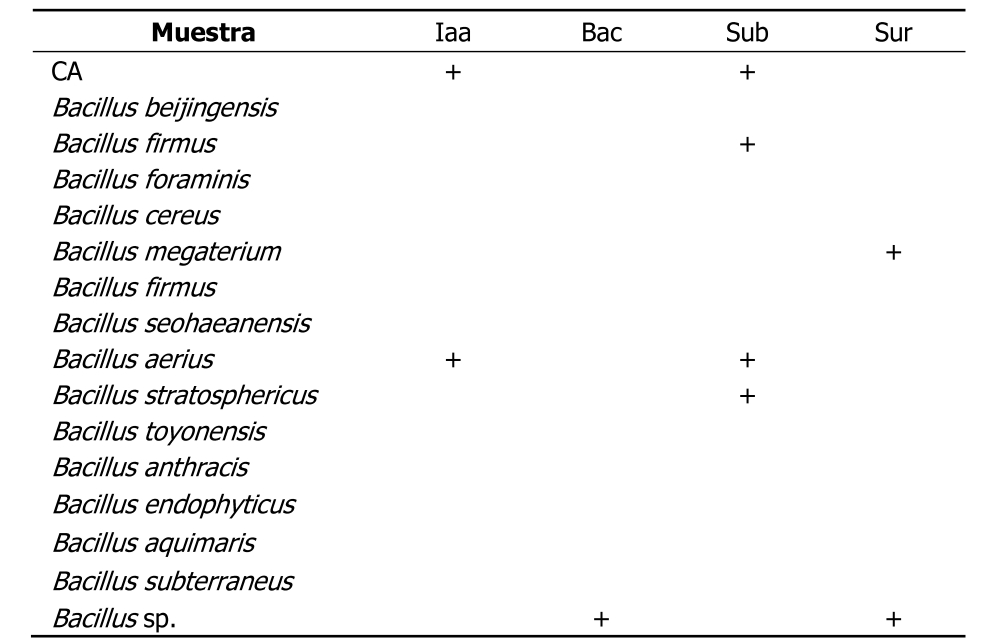 Tabla 1. Prueba de PCR.