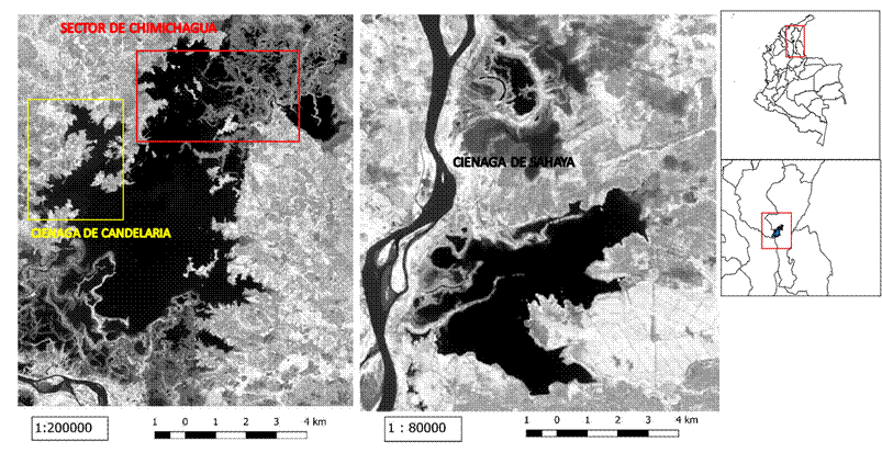 Localizaci&oacute;n de las ci&eacute;nagas Zapatosa sector Chimichagua, ci&eacute;naga de Candelaria y ci&eacute;naga de Sahaya. Fuente: Propia usando im&aacute;genes satelitales Lansat 8.