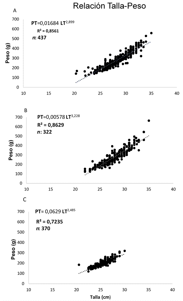 Relaci&oacute;n Talla- Peso de correspondiente a la poblaci&oacute;n de P. magdalenae de ci&eacute;naga de la Zapatosa sector Chimichagua (A), ci&eacute;naga de Candelaria (B), y la ci&eacute;naga de Sahaya (C).