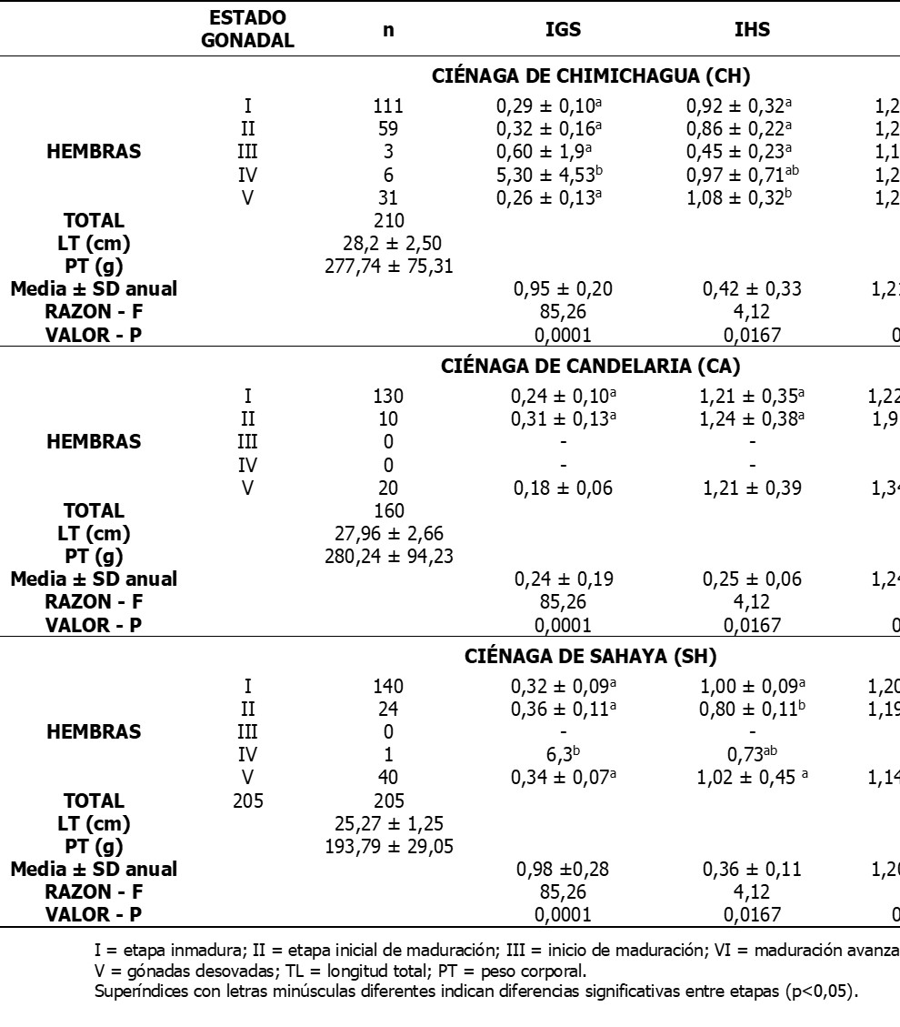 Valores medios &plusmn; desviaci&oacute;n est&aacute;ndar (SD) para el &iacute;ndice gonadosom&aacute;tico (IGS), &iacute;ndice hepatosom&aacute;tico (IHS), factor de condici&oacute;n de Fulton (K) de hembras de P. magdalenae, capturado en el sitio 1: ci&eacute;naga CH; sitio: 2 ci&eacute;naga CA; y sitio 3; ci&eacute;naga SH de junio de 2017 a mayo de 2018.