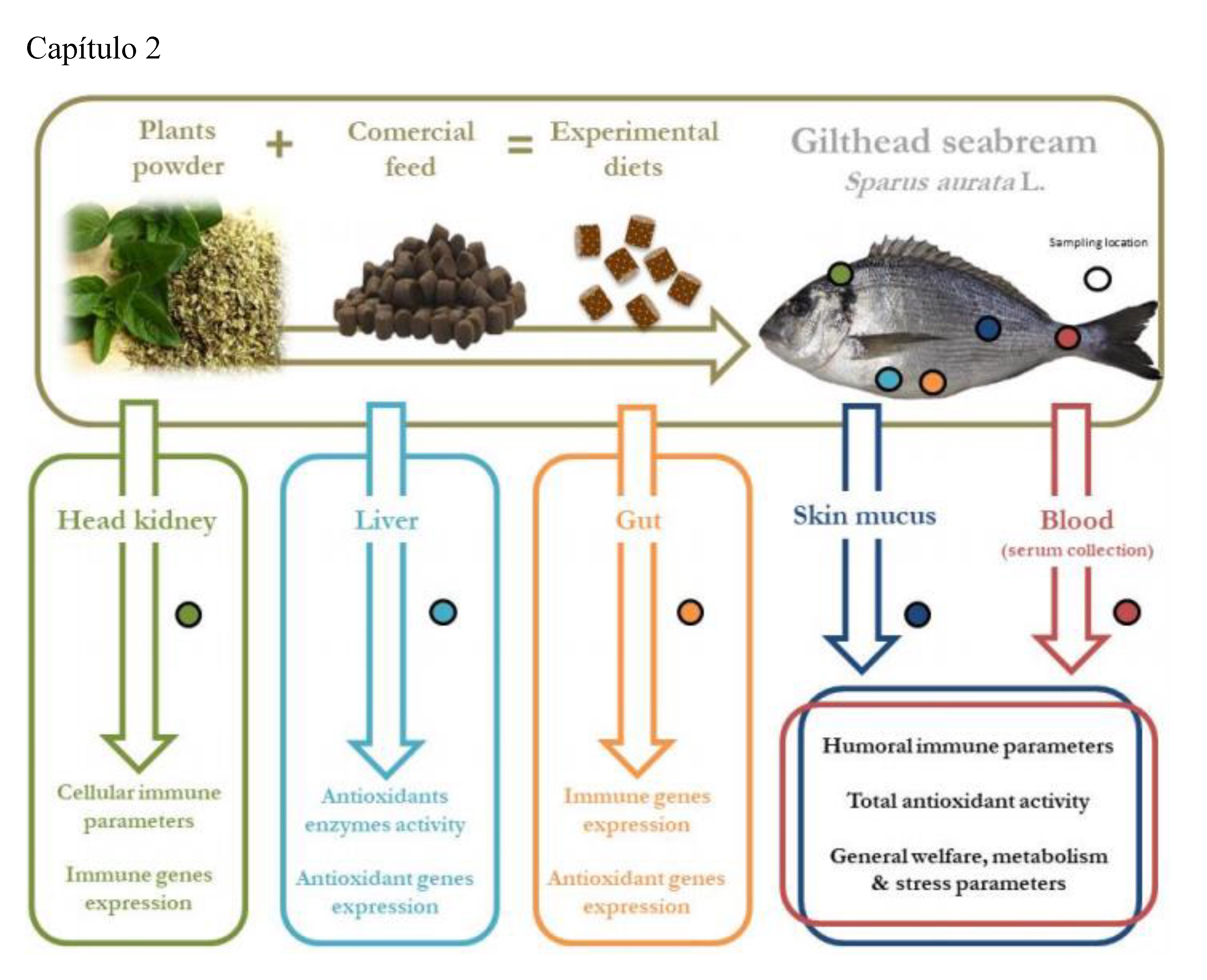 Resumen Cap�tulo 2