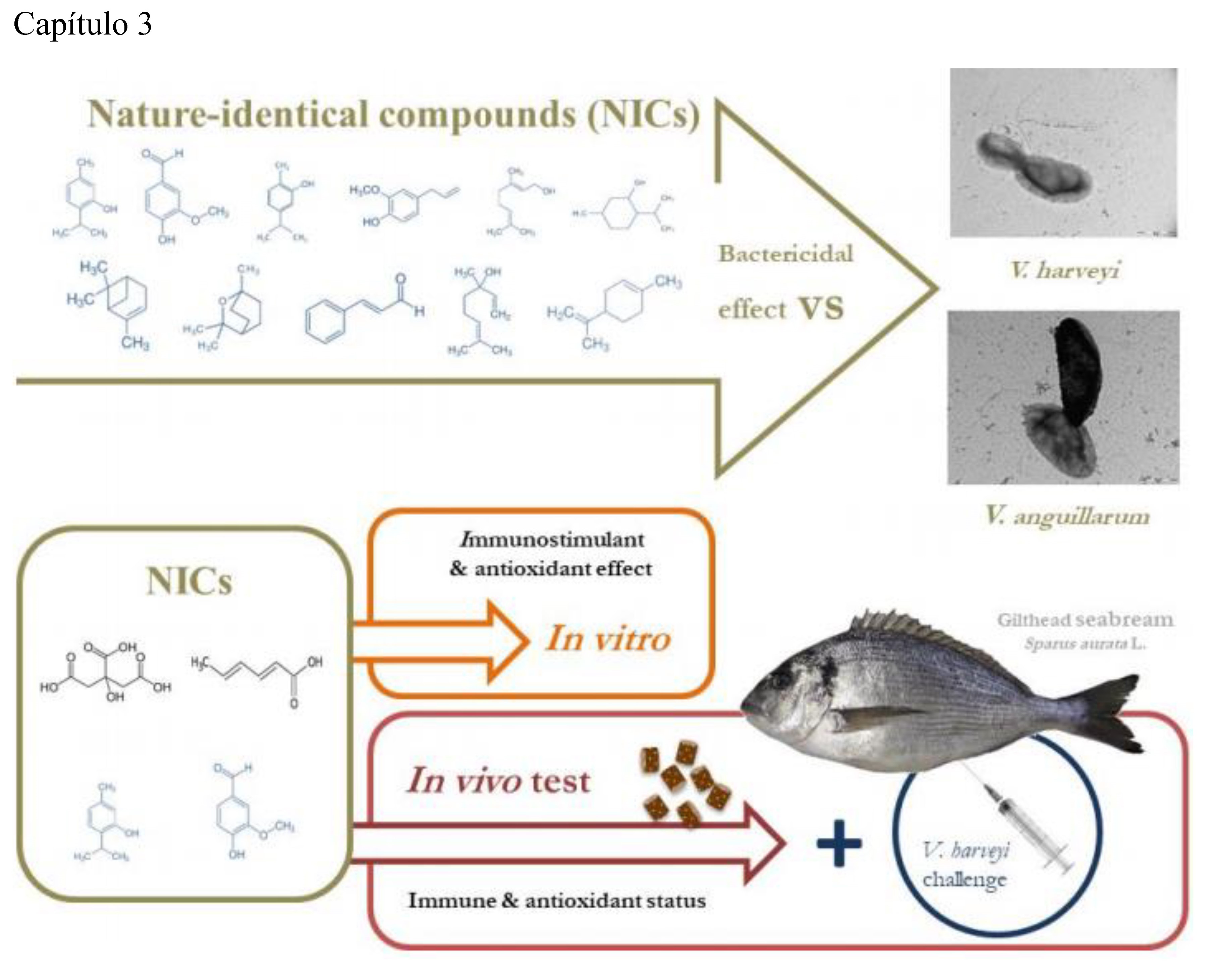 Resumen Cap�tulo 3