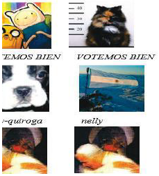 Mutaciones de identidad (nickname y/o avatar)