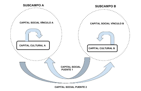 Figura 1- Esquema de relaciones entre los diferentes tipos de capital