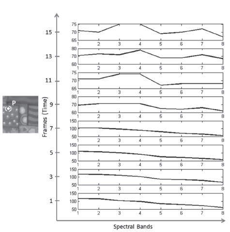 Spectral responses for different frames, of the indicated spatial point P.