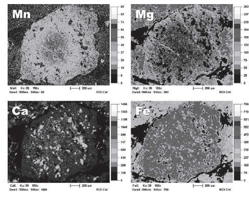 (a) Mn, (b) Mg, (c) Ca and (d) Fe compositional maps of spessartine-type
garnet and associated mineral phases. Light colors show areas of high
concentration while dark colors represent areas of low concentration (black is
very low concentration).  


