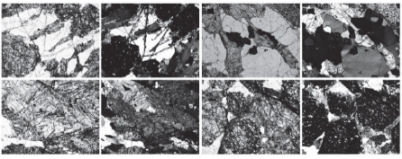 Photomicrographs of the garnet amphibolite observed under a transmitted light
microscope. Grt, garnet; Hbl, hornblende; Qtz, quartz; Ilm, ilmenite; Cpy,
chalcopyrite; Zrn, zircon; Chl, chlorite.