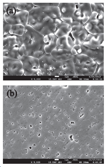 Micrograf&iacute;as obtenidas por MEB de la superficie de los cuerpos de prueba sinterizados: (a) Z10-Pch S1, (b) Z10-Pch S2, ampliaci&oacute;n 5000X.