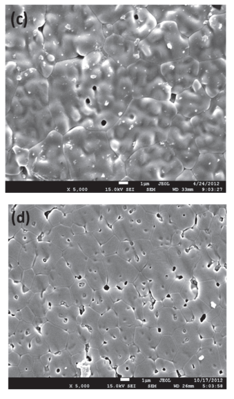 Micrograf&iacute;as obtenidas por MEB de la superficie de los cuerpos de prueba sinterizados: (c) Z12-Pch S1, (d) Z12-Pch S2, ampliaci&oacute;n 5000X.