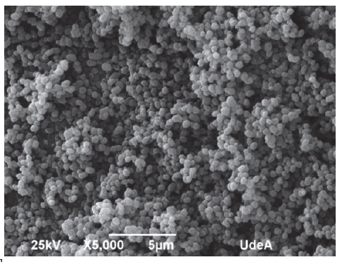 Microscop&iacute;a electr&oacute;nica de barrido para la zeolita Beta obtenida.