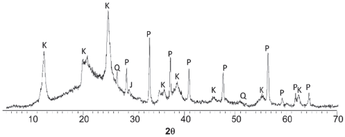 X-ray diffraction pattern of the coal sample before the biodesulfurization process. K: kaolinite, Q: quartz, P: pyrite and J: jarosite